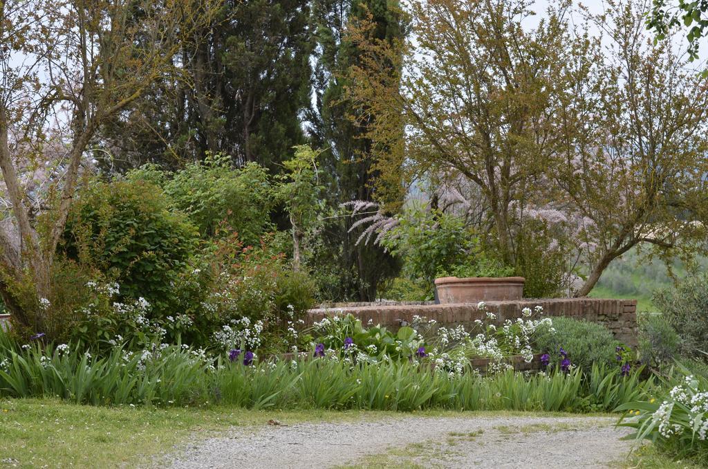 Agriturismo Poggio Ai Grilli กัมบาสซี แตร์เม ห้อง รูปภาพ
